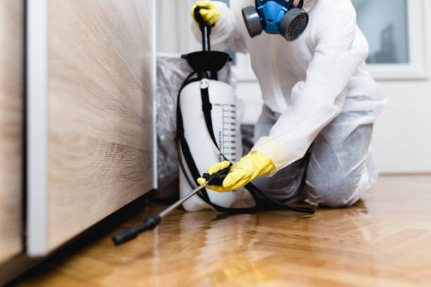 Pest Control Cost in Woodbine, GA