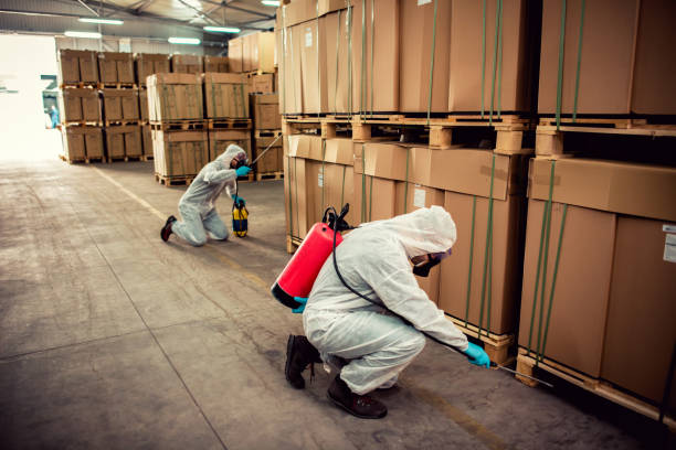 Reliable Woodbine, GA Pest Control Solutions