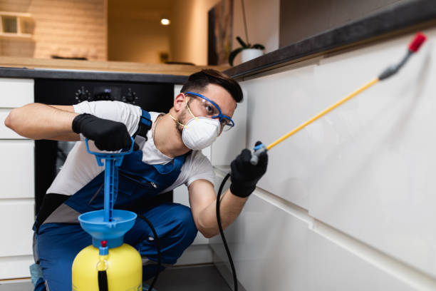 Professional Pest Control in Woodbine, GA