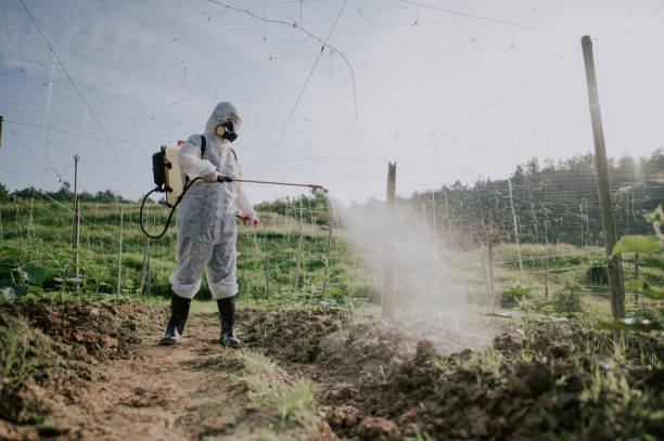Best Local Pest Control Services  in Woodbine, GA