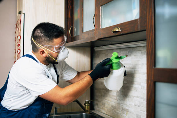 Best Insect Control  in Woodbine, GA