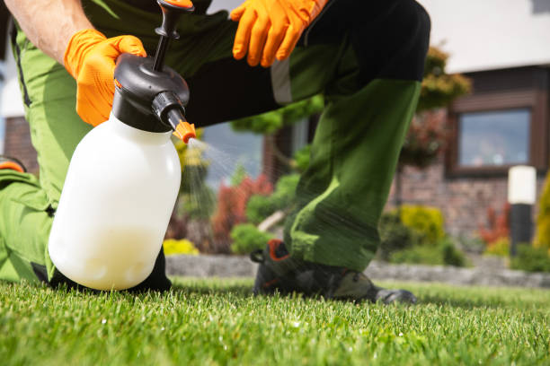 Best Affordable Pest Control Services  in Woodbine, GA