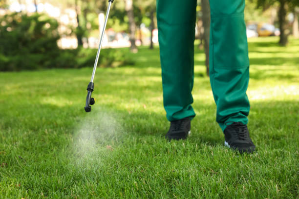 Insect Control in Woodbine, GA