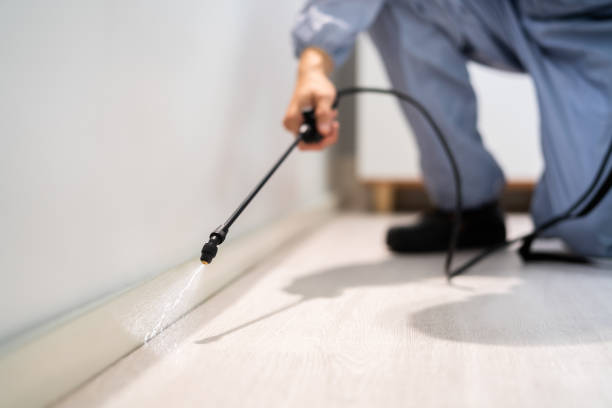 Best Bed Bug Extermination  in Woodbine, GA