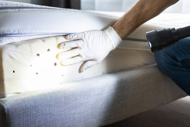 Best Wildlife Control Services  in Woodbine, GA