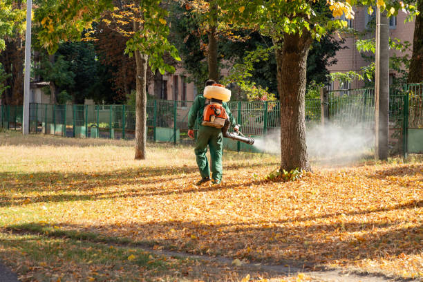 Best Spider Control Near Me  in Woodbine, GA