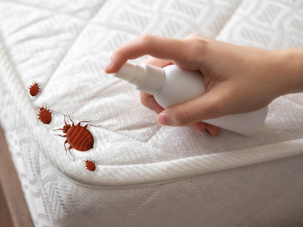 Best Cockroach Control Services  in Woodbine, GA