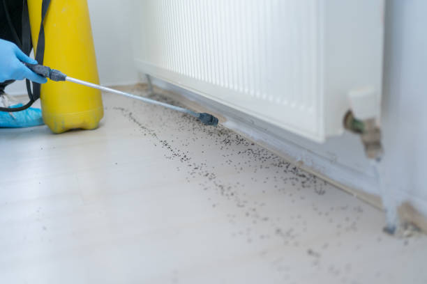 Best Cockroach Control Services  in Woodbine, GA