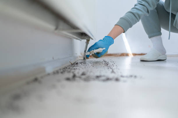 Best Pest Control Near Me  in Woodbine, GA