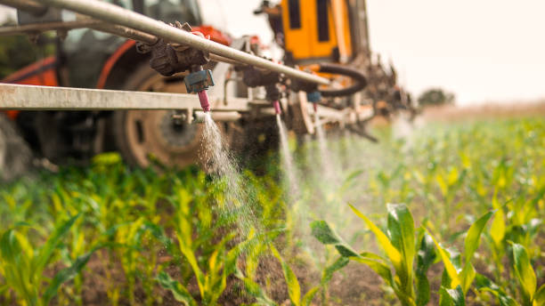 Best Ant Control Services  in Woodbine, GA